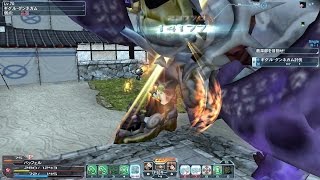 pso2 『6/10修正後』ファイター「ナックル」でSHボスラッシュ【Fi/Hu】