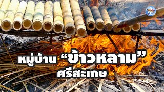 🌾ตะลุย ‼ หมู่บ้านข้าวหลาม🔥🔥 บ.หนองหญ้าปล้อง อ.อุทุมพรพิสัย จ.ศรีสะเกษ|Action2Love