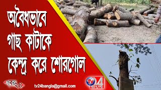 অবৈধভাবে গাছ কাটাকে কেন্দ্র করে শোরগোল সাগরপাড়ায়