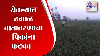 Yeola | येवल्यात ढगाळ वातावरणाचा पिकांना फटका | Marathi News