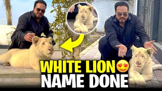 White lion ka name final 😍white lion ka collar remove 😱