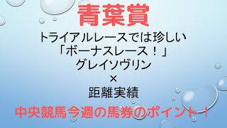 〈初心者向け〉青葉賞（2020年）【中央競馬今週の馬券のポイント！】