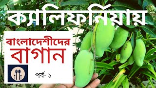 ক্যালিফর্নিয়ায় বাংলাদেশীদের বাগান । পর্ব - ১ | Bangladeshi Gardening in California, USA