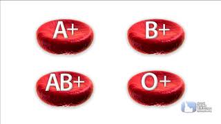 Science Trek: Blood: Blood Basics