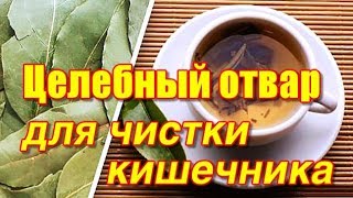 Целебный отвар для кишечника. Эффективный способ как почистить кишечник