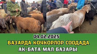 😱🔥КОЙ, КОЧКОРЛОРДУН БААЛАРЫ | АК-БАТА МАЛ БАЗАРЫ | 04.02.2025