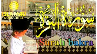 Surah Al-Baqarah Fast Recitation ||By Mishary Bin Rashid - Arabic Textسورة البقره     @islam4u458