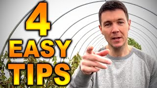 Transplanting a Tree |  HOW TO Transplant any Plant with 4 Easy Tips