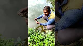 சிறிய மீன் பிழைத்துபோ வளர்ந்துவா (fish release) #shorts