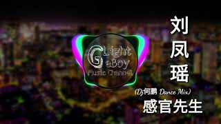 [DJ何鹏版(dance Mix)]刘凤瑶 - 感官先生[如果天都黑了 夜都深了 心的门没锁]ⓛⓖⓑ动能版MV