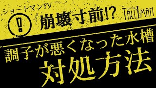 ショートマンTV！調子が悪くなった水槽の対処法について！！