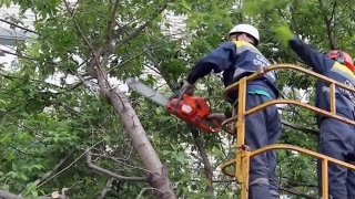 Kaip Maskvai sekasi tvarkytis su pirmadienį siautusio škvalo padariniais?