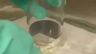 Comparing the four halogens - Chemical elements: properties and reactions (2/8)