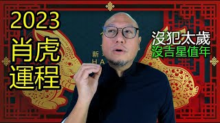 2023最易病的生肖【肖虎】兔年生肖運程