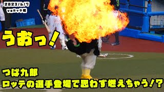 つば九郎　ロッテの選手登場シーンで思わず燃えたように見えちゃう！？　2023/6/7 vsロッテ