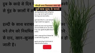 दूर्वा (दूब) घास के फायदे #shorts #healthtips #ayurveda #durva #grass#viral #health #drvikastomar