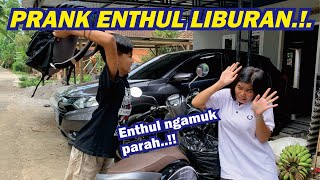 NGERJAIN ENTHUL AJAK LIBURAN || Ngamuk ke satu tim