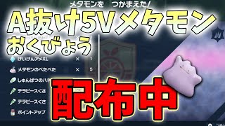 【誰でも参加OK】おくびょうA抜け5Vメタモンをこの身が滅びるまで配布する配信【ポケモンSV/ポケットモンスタースカーレット・バイオレット】