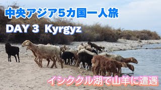 【中央アジア5か国1人旅】DAY3 ビシュケクからイシククル湖へ　山羊に囲まれて怖かった