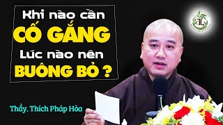 Khi nào nên cố gắng, khi nào cần buông bỏ? - Vấn Đáp Thầy Thích Pháp Hòa