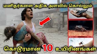 மனிதர்களை அதிக அளவில் கொ'ள்ளும் கொ'டூரமான 10 உயிரினங்கள் !