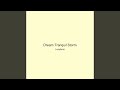 Dream Tranquil Storm