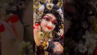 ओ वृषभानु दुलारी#radhakrishna #radharani #radhavallabh #youtubeshorts