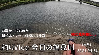 シーバス釣りVlog 今日の鶴見川 2023年5月28日（ホゲ）内房サーフもホゲ。新規ポイントは根掛かり多し