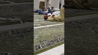 Lucky Pigeon walking in Masjid al Haram #baitullah #kaaba #makkah