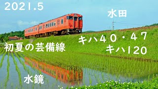 水田に映るキハ40 初夏の芸備線 2021.5