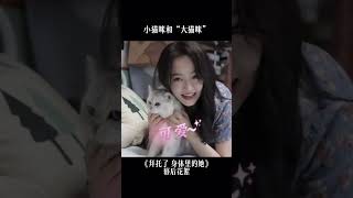 吴佳怡变身软萌妹，rua猫咪~ #拜托了身体里的她 #吴佳怡 #杨昆