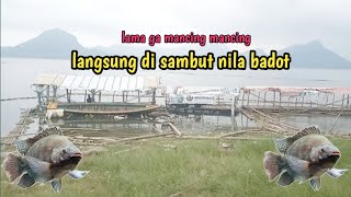 LAMA GA MANCING ‼️ LANGSUNG DI SAMBUT NILA BADOT ‼️ MANCING JATILUHUR TERBARU