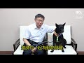 世界動物日系列 呱吉x阿翰xjoemanx柯市長 邀請你一起為動物發聲