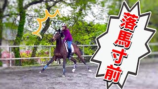 リュウノスター、物見をする　something scared the horse