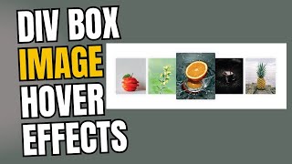 Div Box Image Hover - Html, Css image card hover effects
