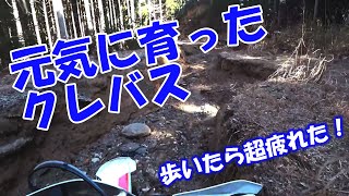 【下山キャニオン】とある林道の轍は年々成長しクレバスに成長！【林道ツーリング】