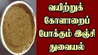 MEDICINAL BENEFITS OF GINGER THUVAIYAL  / வயிற்று கோளாறை போக்கும் இஞ்சி  துவையல்