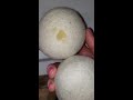 wool dryer balls and essential oils instead of dryer sheets shorts