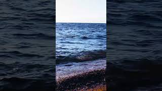 Relaxing with Ocean Wave Sounds #relaxing #sleep #ocean #study #naturalsounds #short #shorts