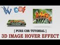 3d image hover effects css | cool css effects 2018 | Pure css tutorial