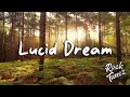 Owl City - Lucid Dream (Culture Code Remix)