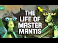 Master Mantis’ Weird & Wild Backstory | Kung Fu Panda