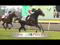 【競馬ブック】東京ジャンプステークス 2016 予想【tmトーク】6月25日14 00発走（東京8r）