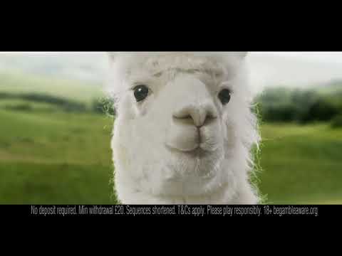 PlayOJO: Alpaca (2018) PlayOJO: Alpaca (2018)