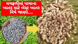 મગફળી માટે બેસ્ટ પાયાનું ખાતર | Magfali Khatar | Groundnut Fertilizer