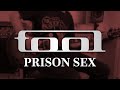 TOOL - Prison Sex (Guitar Cover with Play Along Tabs)