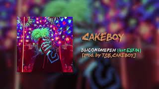 CAKEBOY - ВЫСОКОМЕРЕН [prod. by TSB, CAKEboy]