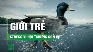 Sinh viên, người mới đi làm trầm cảm, stress vì “Hội chứng con vịt” | VTC14