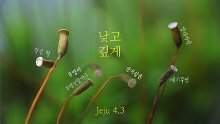 [탐나는 로맨스]  7. 낮고 깊게 Jeju 4·3 | KBS제주