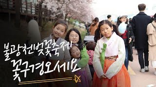 [은평1인크리에이터] 은평구 불광천 벚꽃축제 2일차!